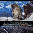 The spectacular Planet Earth II: Live In Concert is coming to Dublin