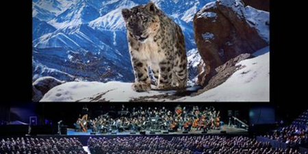 The spectacular Planet Earth II: Live In Concert is coming to Dublin