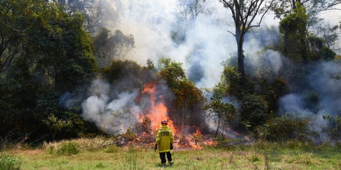 australia fires firefighter arrested