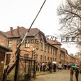 Auschwitz ‘Christmas ornaments’ removed from Amazon following complaints by museum
