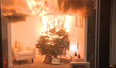 WATCH: A warning from Dublin Fire Brigade on why you should water your (real) Christmas tree