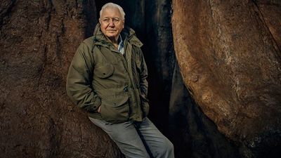 David Attenborough to make a new five-part documentary for the BBC