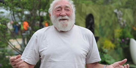 Broadcaster and naturalist David Bellamy has died aged 86