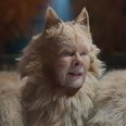 Cats on course to lose $100 million at the box office