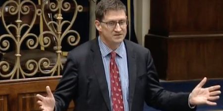 Green Party chairperson in Tipperary says Eamon Ryan should be replaced as leader