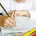Green Party proposes removing homework in primary schools if elected