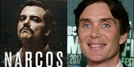 Narcos creator would love to work with Cillian Murphy again