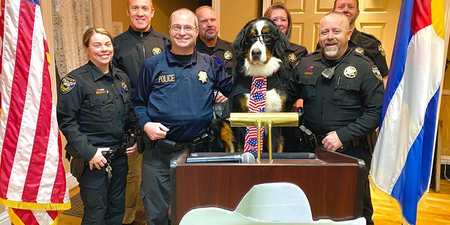 A very good dog has been voted honorary mayor of a town in Colorado
