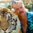 Tiger King’s Joe Exotic transferred from coronavirus isolation to prison medical centre