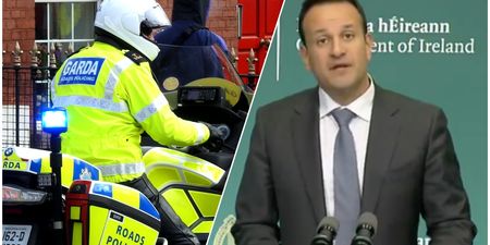“It is not our desire to turn Ireland into a police state”