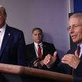 Anthony Fauci condemns Trump’s team for including him in a campaign advert