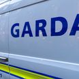 A man in Kilkenny has died following a road traffic collision