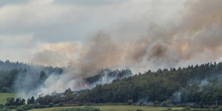Status Red fire warning issued due to extreme forest fire risk over Bank Holiday weekend