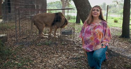 Carole Baskin handed control of Joe Exotic’s zoo in Oklahoma following court case