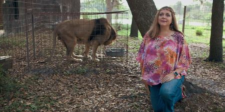 Carole Baskin handed control of Joe Exotic’s zoo in Oklahoma following court case