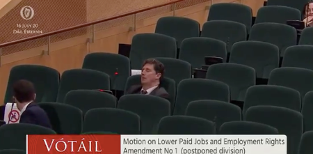 Eamon Ryan appears to fall asleep during Dáil vote, has to be woken up