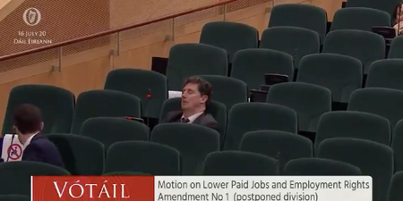 Eamon Ryan appears to fall asleep during Dáil vote, has to be woken up