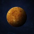 Sign of alien life found on Venus