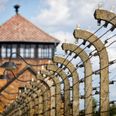 23% of American adults believe the Holocaust was a myth
