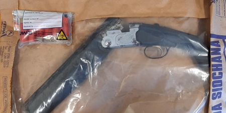 Two arrested and a shotgun and ammo seized following chase