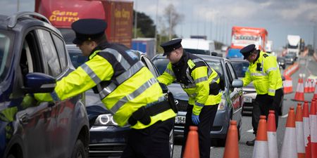 Professor suggests Garda checkpoints at Irish border to halt spread of Delta variant