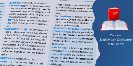 ‘Pandemic’ and ‘make a hames of something’ amongst new additions to first English/Irish dictionary in 60 years