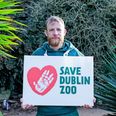 Taoiseach promises Dublin Zoo “will get the help it needs” amid fears it may have to close for good