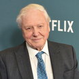 Sir David Attenborough ‘punched the air’ when Donald Trump lost the presidential election