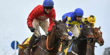 All roads lead to Cheltenham after a busy Christmas period of shocks
