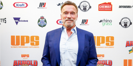 Arnold Schwarzenegger says Donald Trump ‘sought a coup by misleading people with lies’