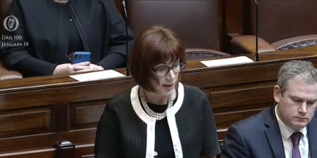Josepha Madigan apologises for “insensitive” comment about “normal children”