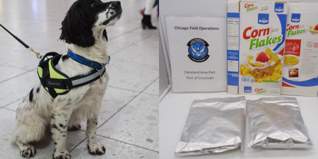 US Customs intercept 20kg of cocaine hidden on corn flakes