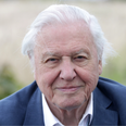 David Attenborough urges politicians to work together to end climate crisis