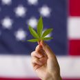 New York state agrees to legalise use of recreational marijuana