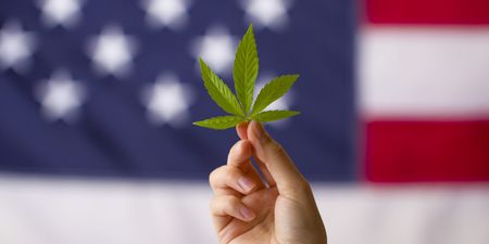 New York state agrees to legalise use of recreational marijuana