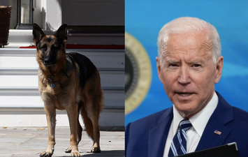 Joe Biden’s dog Major has bitten another White House employee