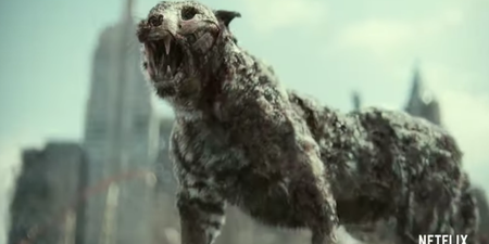 WATCH: Army Of The Dead gives us smarter, faster zombies (and also a zombie tiger)