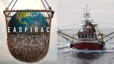 What Netflix’s Seaspiracy gets wrong about fishing, according to a marine biologist