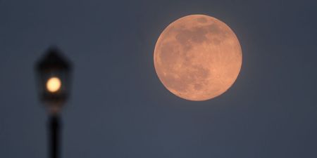 There’s a “Super Pink Moon” coming tonight, here’s what you need to know