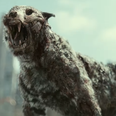 The cast of Army Of The Dead reveal their scariest zombie animals