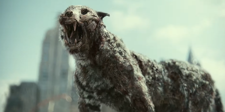 The cast of Army Of The Dead reveal their scariest zombie animals
