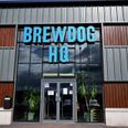 BrewDog issues apology after former staff write open letter labelling it a “toxic” employer