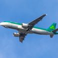 All Aer Lingus regional flights operated by Stobart Air have been cancelled with immediate effect
