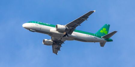 All Aer Lingus regional flights operated by Stobart Air have been cancelled with immediate effect