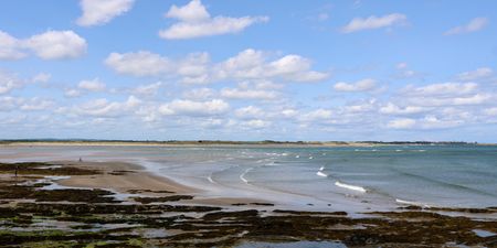 Temporary notices not to swim issued for two Dublin beaches due to E. coli bacteria