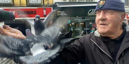 Famed ‘birdman’ of Cork told to fly away due to pigeon-related mayhem