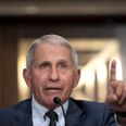 Dr Fauci says travel between Ireland and US will be “safe” from November