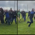 Wicklow GAA to investigate fight after Under 15 match on Saturday