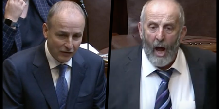 WATCH: Micheál Martin and Danny Healy-Rae had an almighty row in the Dáil