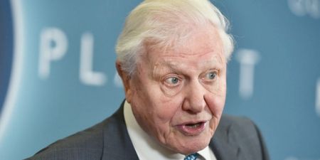 “Act now” – David Attenborough issues stark warning on climate emergency